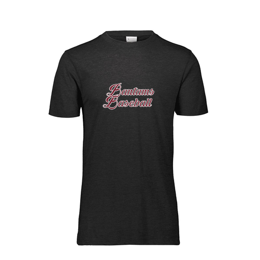 [FTSCUBBK-YS-LOGO3] Decker Youth Tri-Blend T-Shirt - Short Sleeve (Youth S, Black, Logo 3)