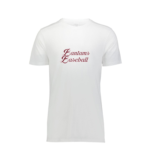 [FTSCUBWH-YS-LOGO3] Decker Youth Tri-Blend T-Shirt - Short Sleeve (Youth S, White, Logo 3)