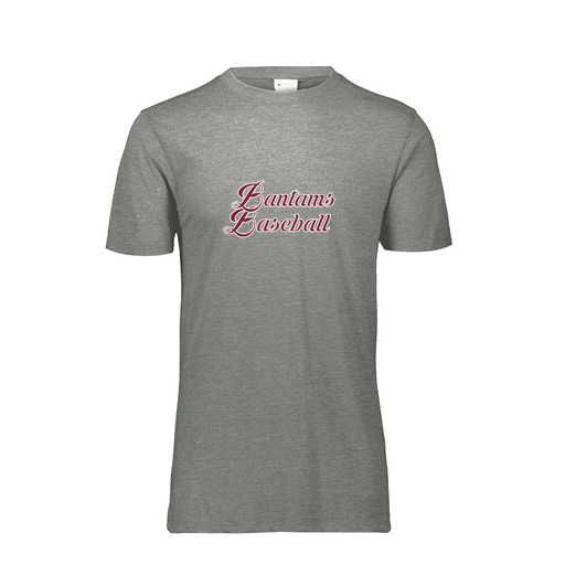 [FTSCUBGY-YS-LOGO3] Decker Youth Tri-Blend T-Shirt - Short Sleeve (Youth S, Gray, Logo 3)