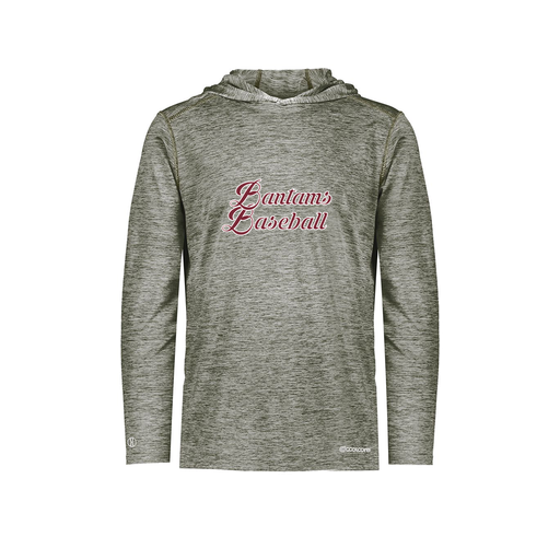 [FOLHCGGY-AS-LOGO3] Decker Men's Charge Hoodie (Adult S, Gray, Logo 3)